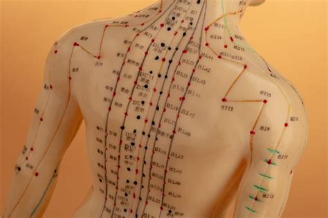 all acupuncture points for obesity